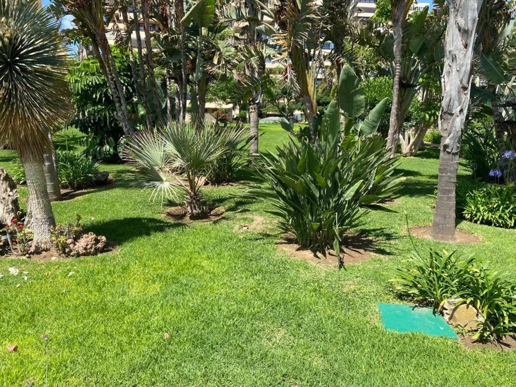 Edificio Playa Mar Apartamento